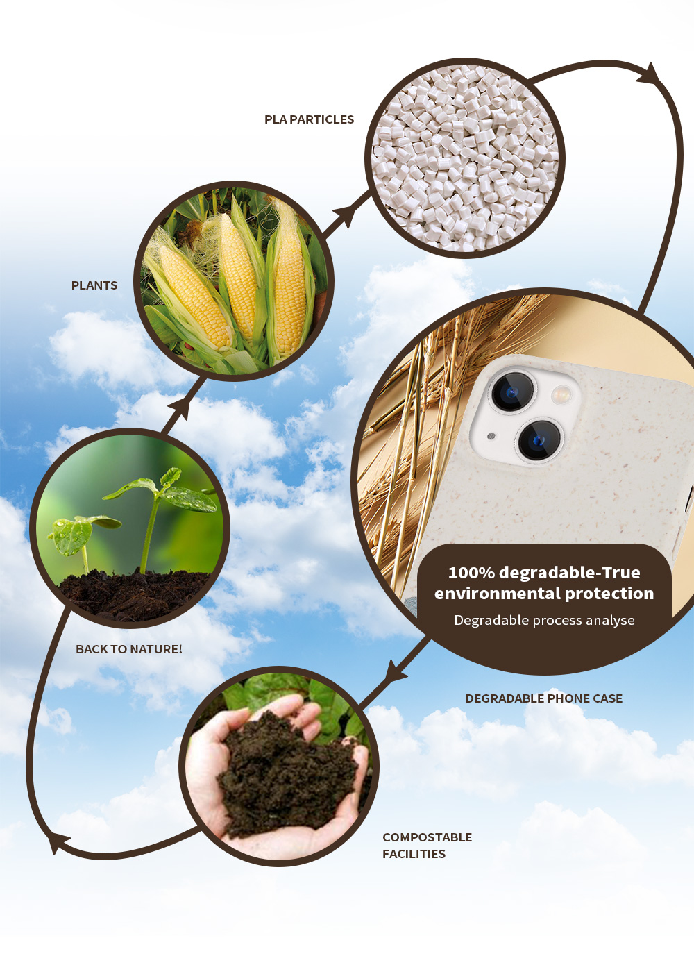 Breaking Down Biodegradable Phone Cases! How They Work and Why They ...
