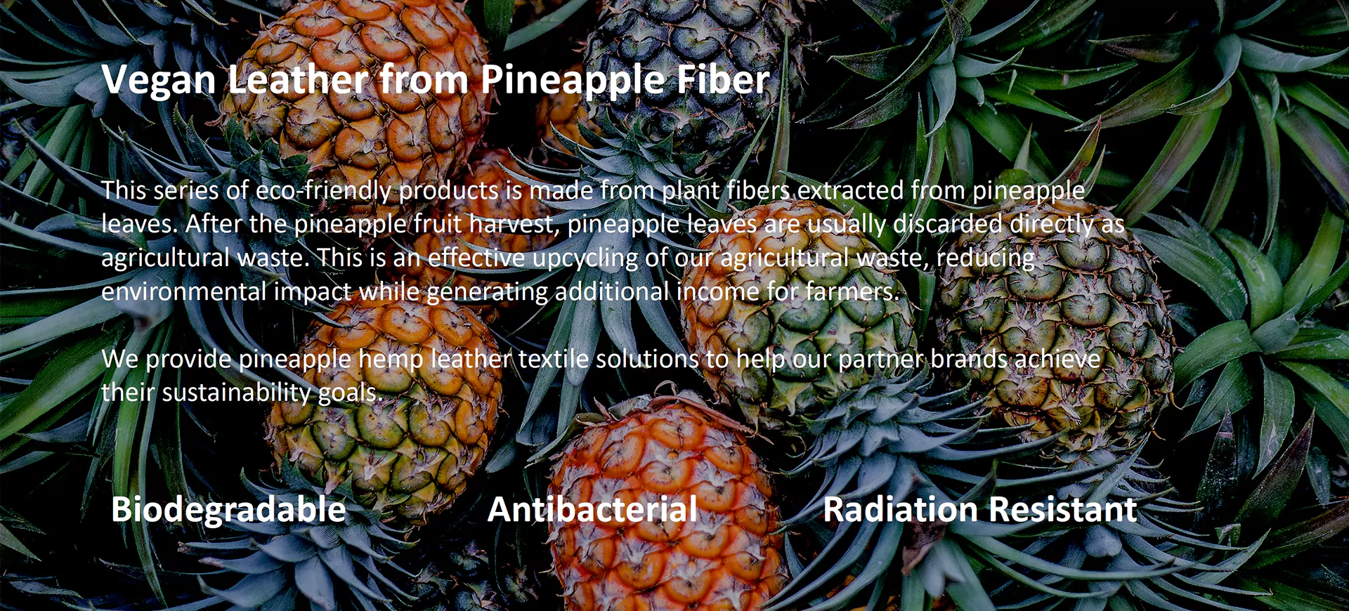 pineapple fiber leather banner