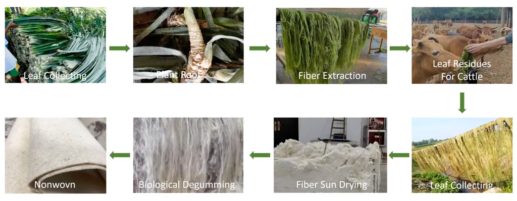 Pineapple Leather produce process