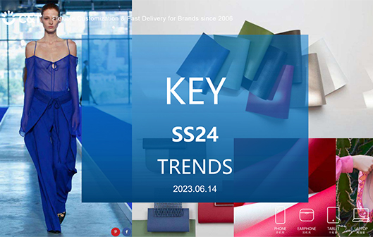 2024 SS Trends Proposal from C&T