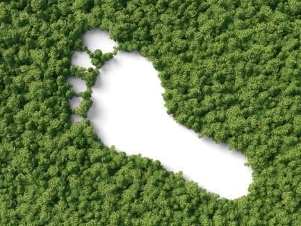 picture2-for-Carbon-footprint-1