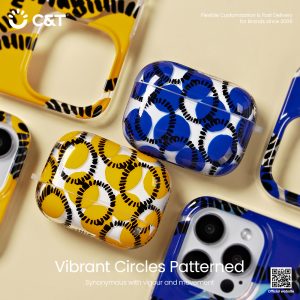 earphone case-article