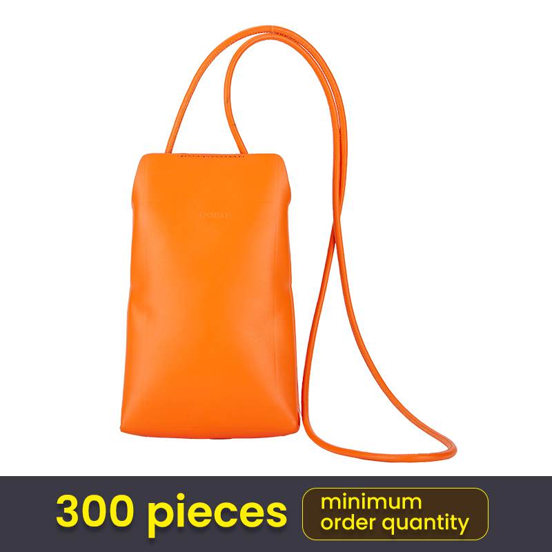 Stylish Phone Crossbody Bag (3)