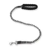 Leash