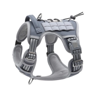 Harness