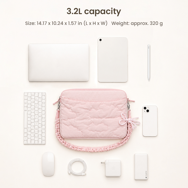 Laptop bag storage capacity with accessories